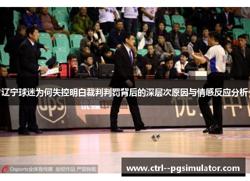 辽宁球迷为何失控明白裁判判罚背后的深层次原因与情感反应分析