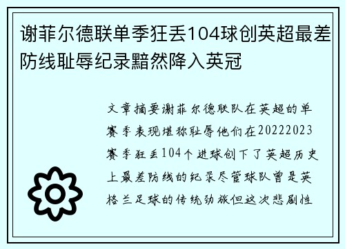 谢菲尔德联单季狂丢104球创英超最差防线耻辱纪录黯然降入英冠 谢菲尔德联单季狂丢104球创英超最差防线耻辱纪录黯然降入英冠